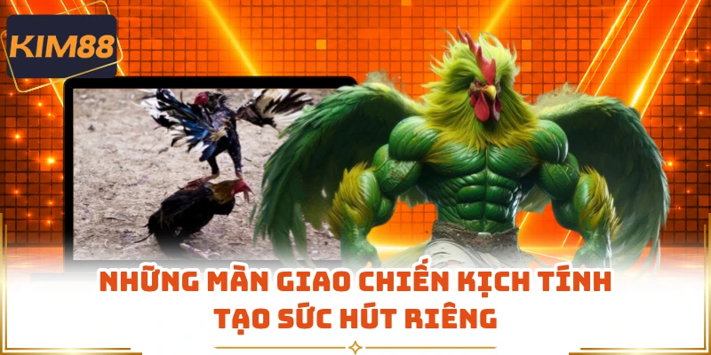 Những màn giao chiến kịch tính tạo sức hút riêng